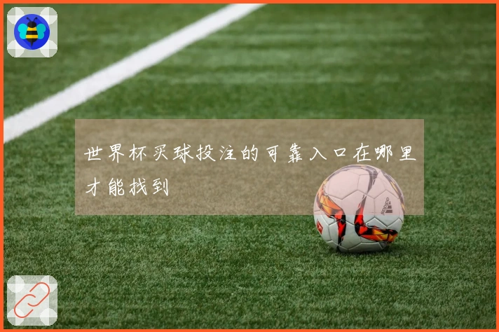 世界杯买球投注的可靠入口在哪里才能找到