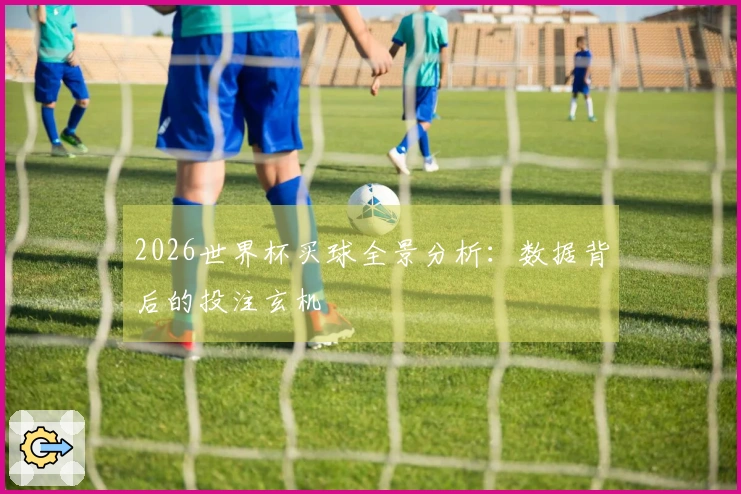 2026世界杯买球全景分析：数据背后的投注玄机