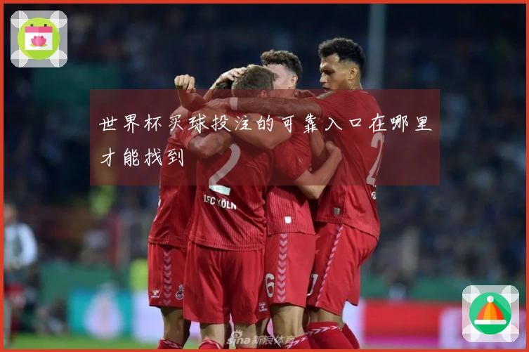 世界杯买球投注的可靠入口在哪里才能找到