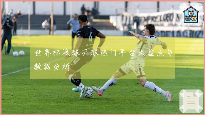 世界杯滚球买球热门平台大盘点与数据分析