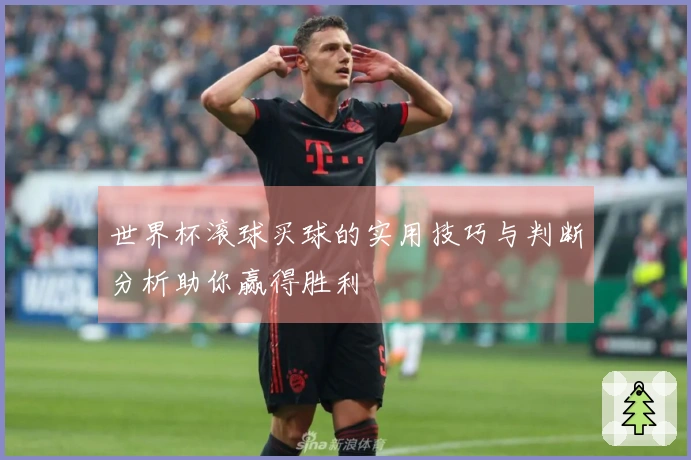 世界杯滚球买球的实用技巧与判断分析助你赢得胜利