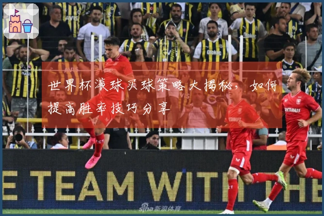 世界杯滚球买球策略大揭秘，如何提高胜率技巧分享