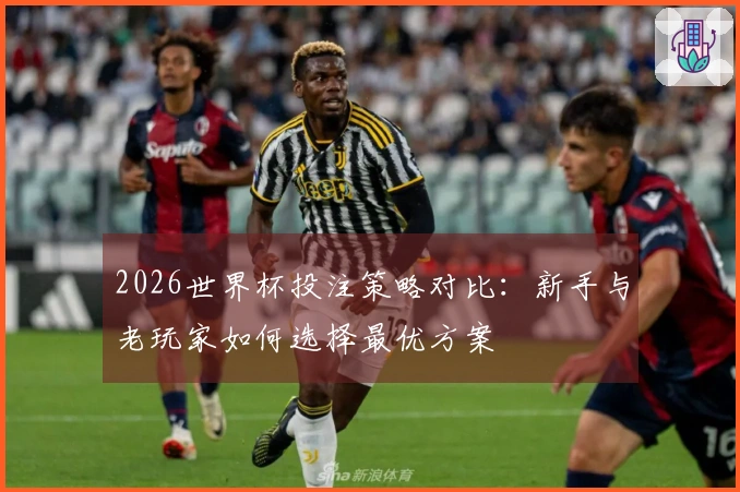 2026世界杯投注策略对比：新手与老玩家如何选择最优方案