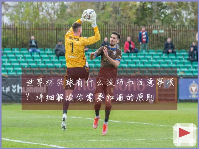 世界杯买球有什么技巧和注意事项？详细解读你需要知道的原则