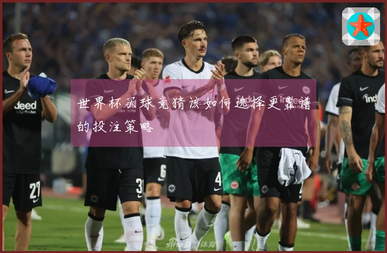 世界杯买球竞猜该如何选择更靠谱的投注策略