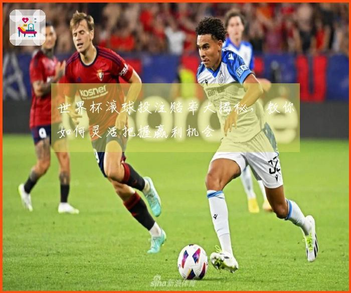 世界杯滚球投注赔率大揭秘，教你如何灵活把握赢利机会