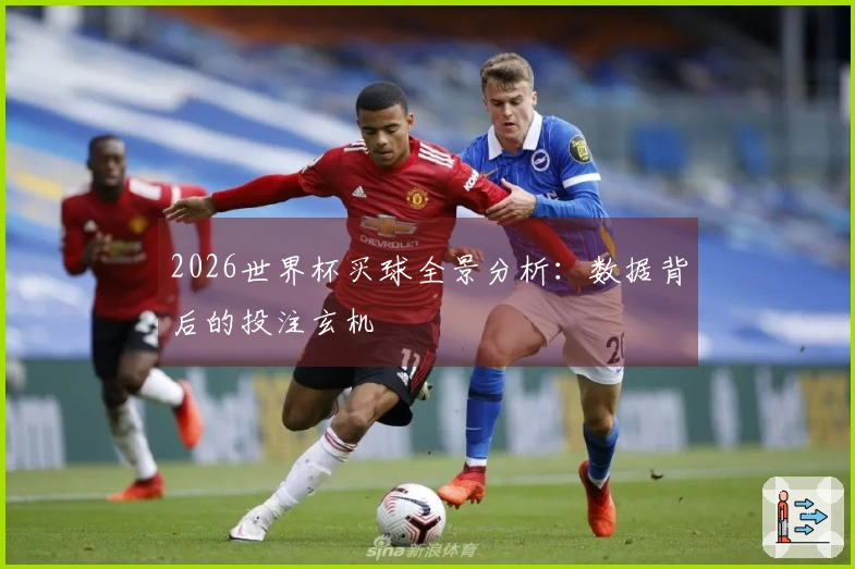 2026世界杯买球全景分析：数据背后的投注玄机