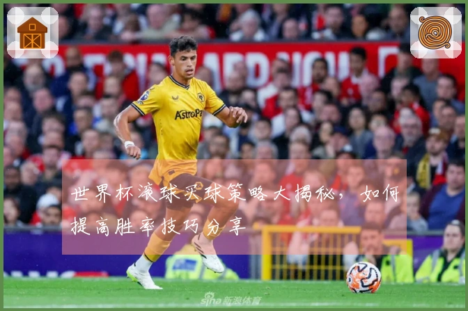 世界杯滚球买球策略大揭秘，如何提高胜率技巧分享